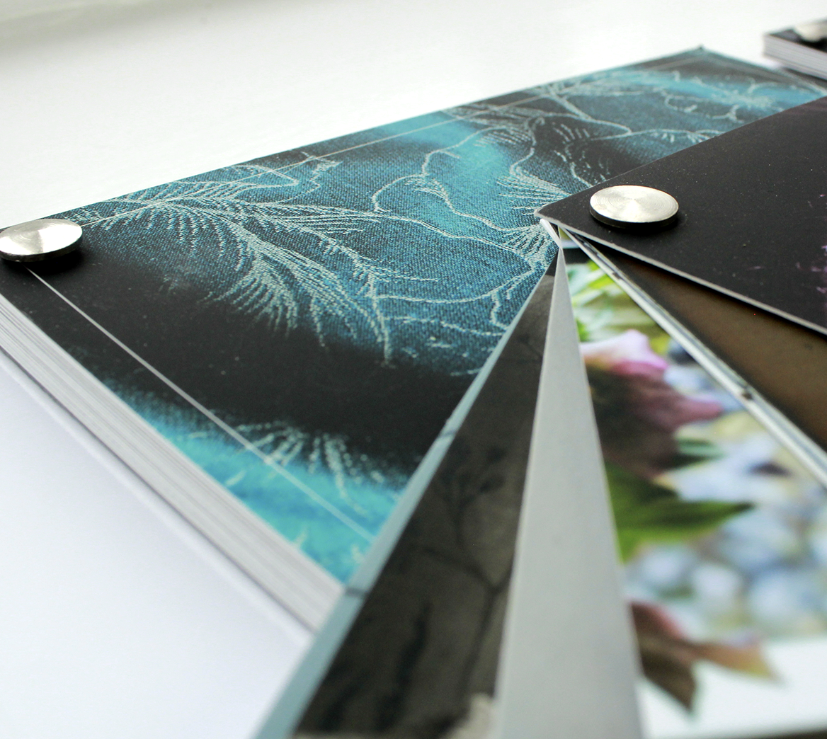 Fanned out brochure bound with binding screw