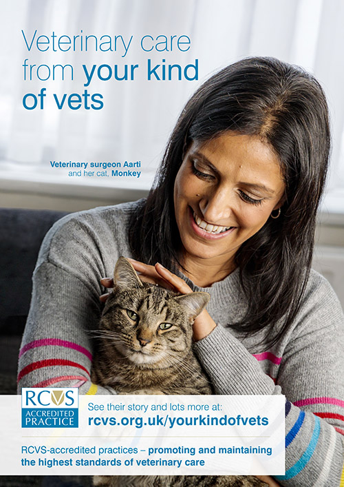 Your kind of vets poster a vet and her cat