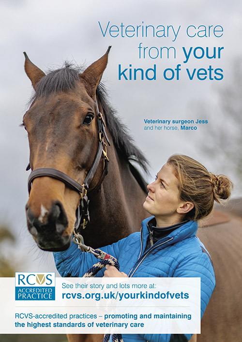 Your kind of vets poster a vet and her horse